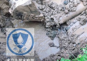 伊通水管漏水检测公司5